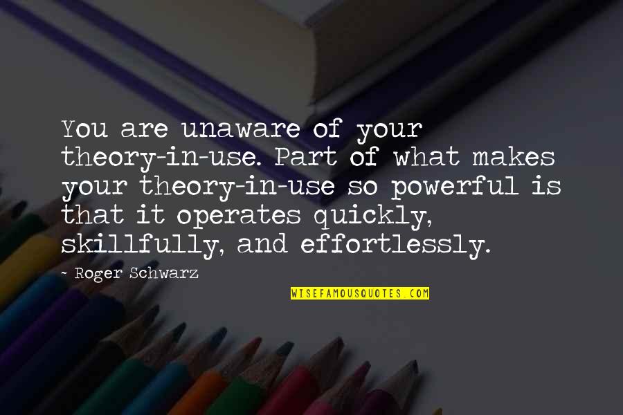 Perlukan Adalah Quotes By Roger Schwarz: You are unaware of your theory-in-use. Part of