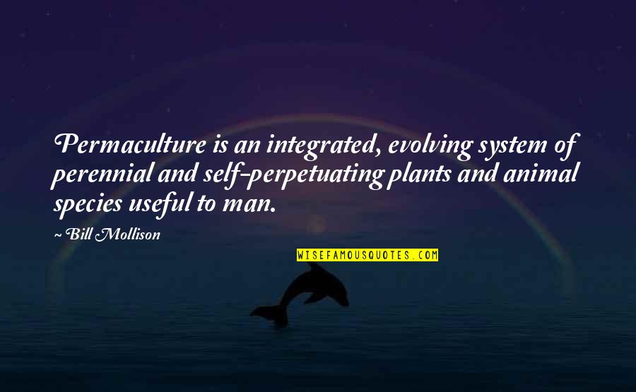 Permaculture Quotes By Bill Mollison: Permaculture is an integrated, evolving system of perennial