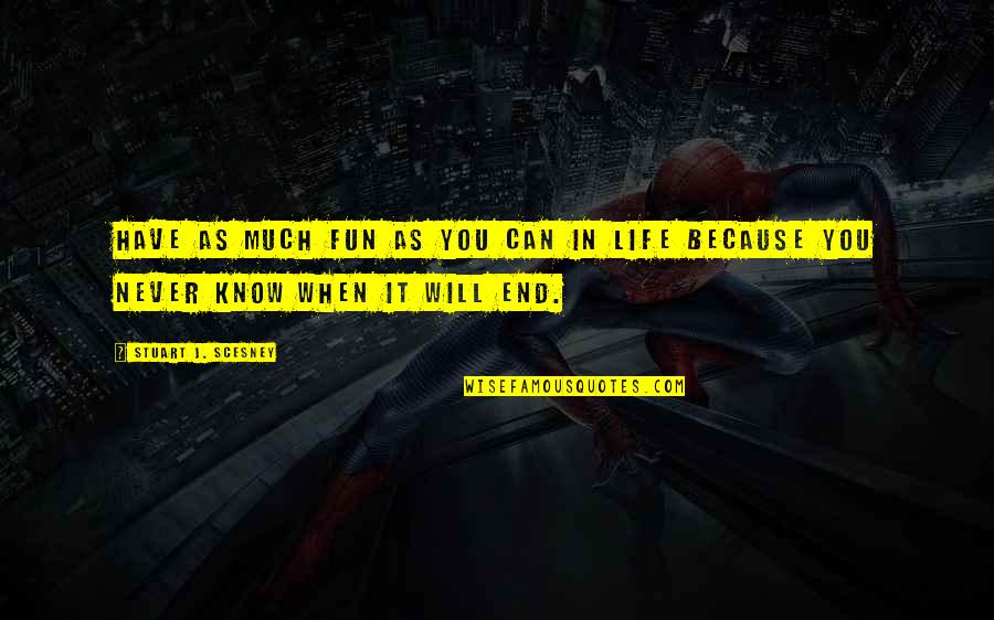 Permanecen Sinonimo Quotes By Stuart J. Scesney: Have as much fun as you can in Permanecen Sinonimo Quotes By Stuart J. Scesney: Have as much fun as you can in
