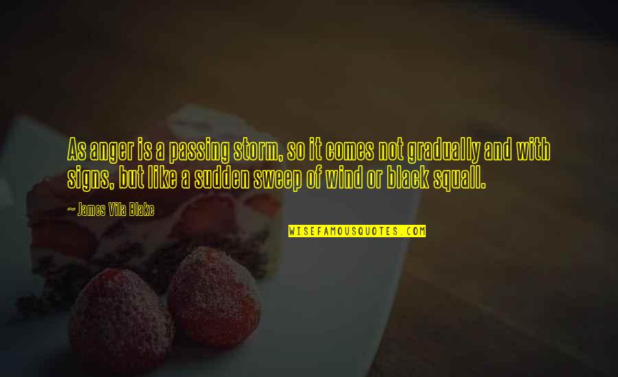Permaneciendo En Quotes By James Vila Blake: As anger is a passing storm, so it
