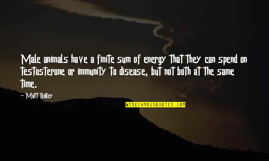 Permanent Residency Quotes By Matt Ridley: Male animals have a finite sum of energy