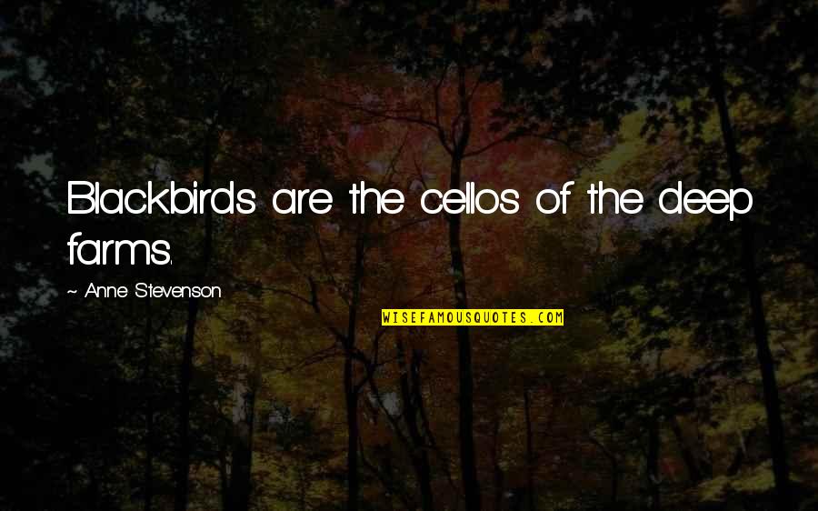 Permanezcan Quotes By Anne Stevenson: Blackbirds are the cellos of the deep farms.
