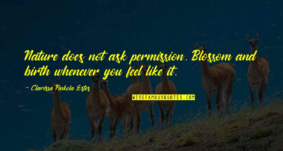 Permission To Feel Quotes By Clarissa Pinkola Estes: Nature does not ask permission. Blossom and birth Permission To Feel Quotes By Clarissa Pinkola Estes: Nature does not ask permission. Blossom and birth
