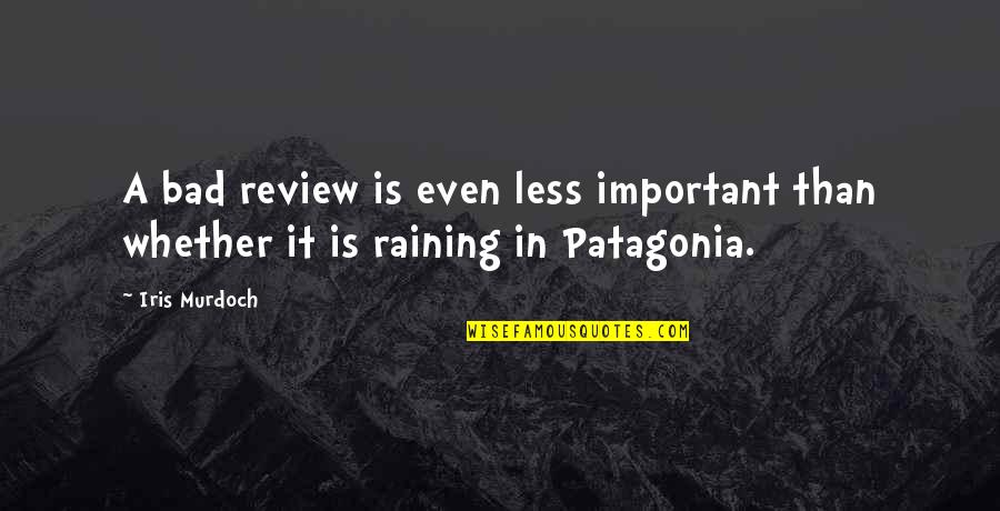 Permisson Quotes By Iris Murdoch: A bad review is even less important than