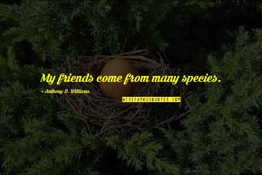 Permitium Order Quotes By Anthony D. Williams: My friends come from many species. Permitium Order Quotes By Anthony D. Williams: My friends come from many species.