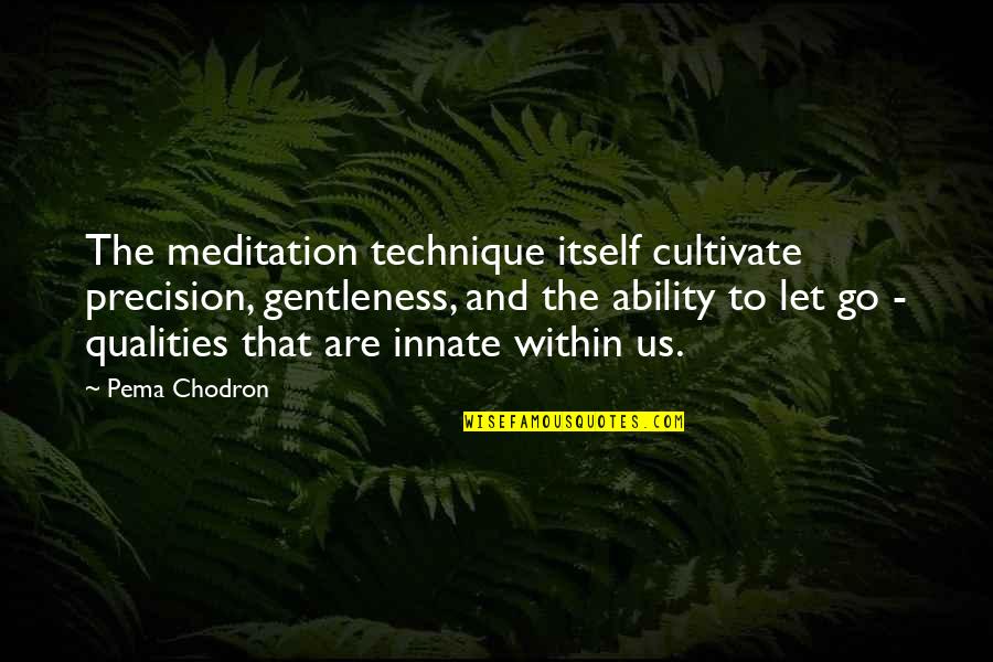 Permitted Means Quotes By Pema Chodron: The meditation technique itself cultivate precision, gentleness, and Permitted Means Quotes By Pema Chodron: The meditation technique itself cultivate precision, gentleness, and