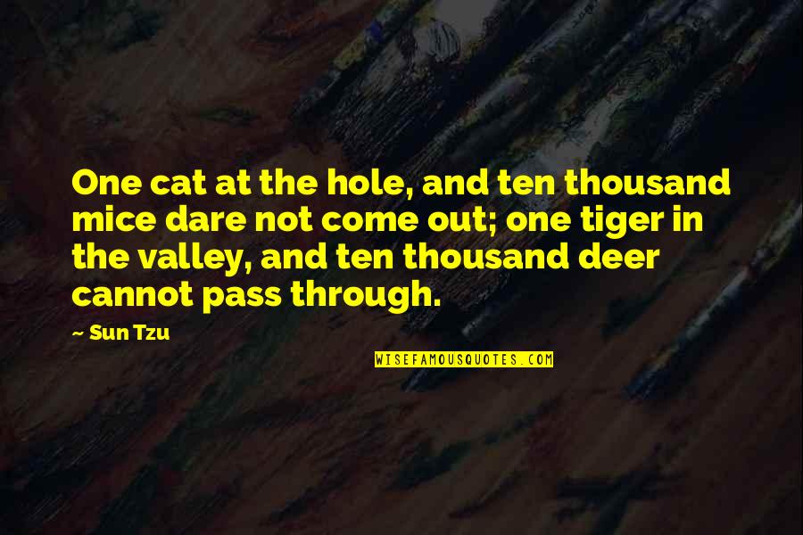 Pern Cky Na Stromecek Quotes By Sun Tzu: One cat at the hole, and ten thousand Pern Cky Na Stromecek Quotes By Sun Tzu: One cat at the hole, and ten thousand