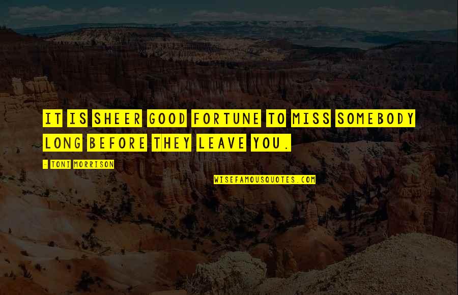 Pernikoff Dvm Quotes By Toni Morrison: It is sheer good fortune to miss somebody