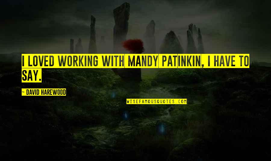 Pernyataan Persuasif Quotes By David Harewood: I loved working with Mandy Patinkin, I have