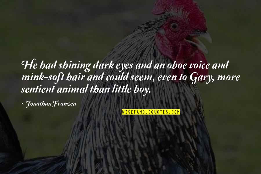 Peroneal Tendon Quotes By Jonathan Franzen: He had shining dark eyes and an oboe
