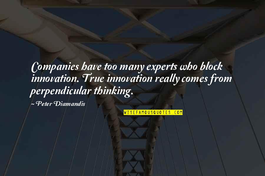 Perpendicular Quotes By Peter Diamandis: Companies have too many experts who block innovation.