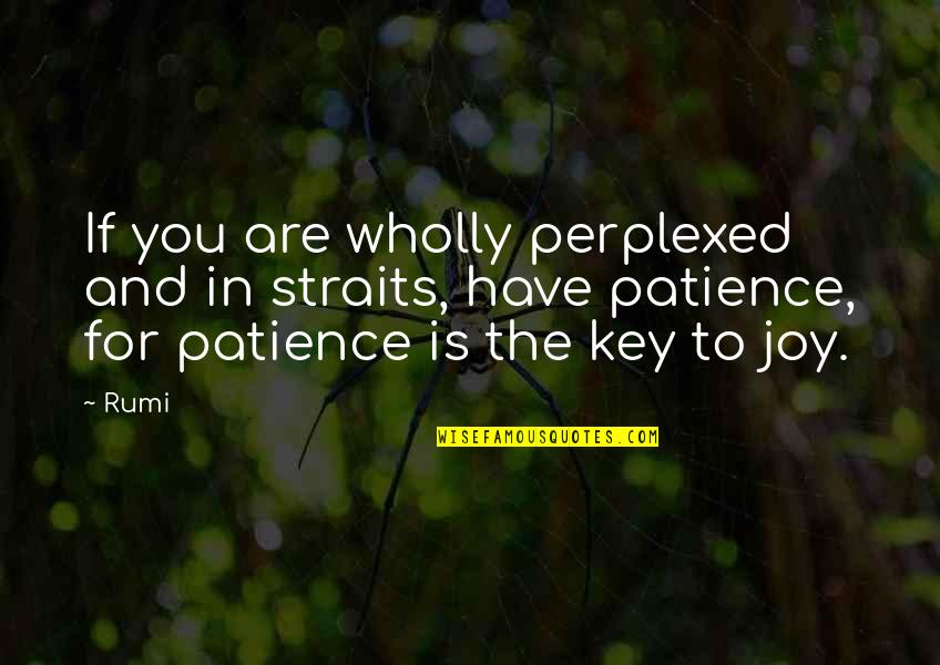 Perplexed Quotes By Rumi: If you are wholly perplexed and in straits,