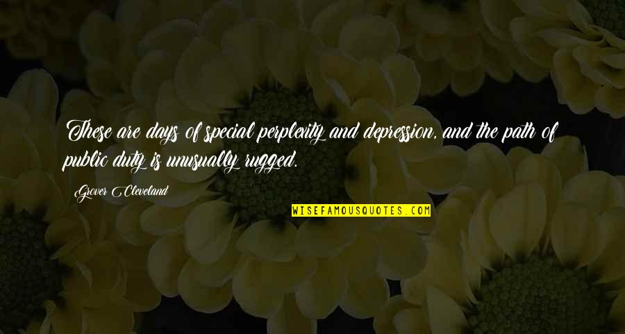 Perplexity Quotes By Grover Cleveland: These are days of special perplexity and depression,