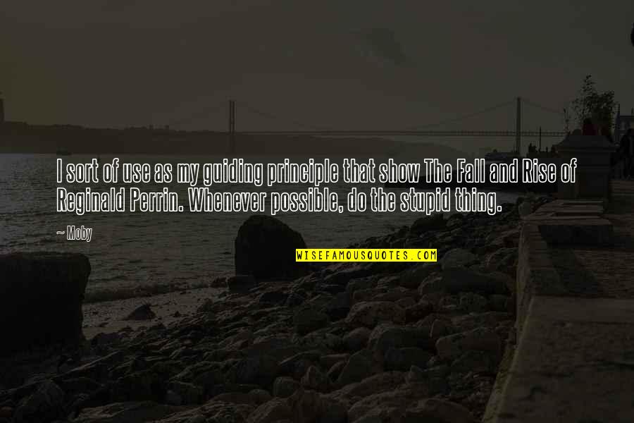 Perrin's Quotes By Moby: I sort of use as my guiding principle
