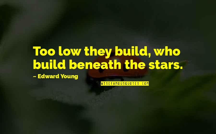 Persano Horse Quotes By Edward Young: Too low they build, who build beneath the