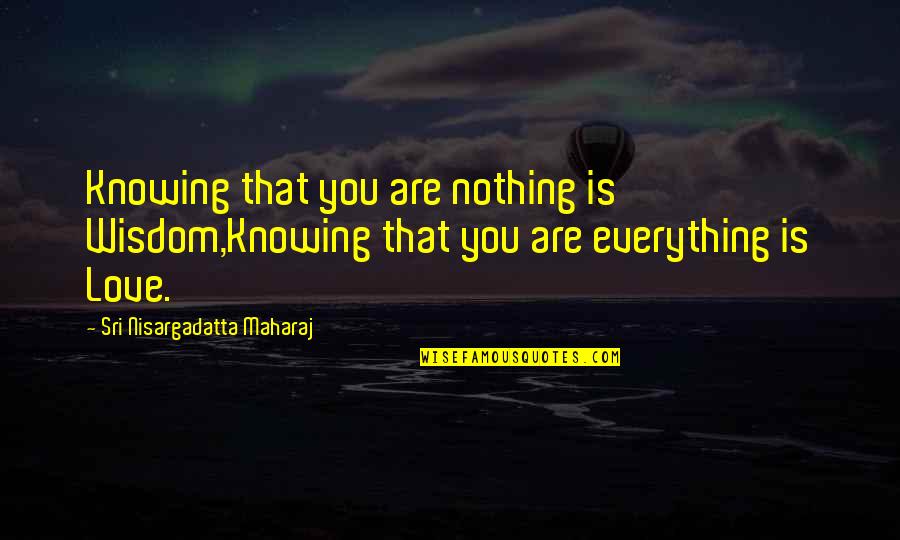 Persekitaran Keluarga Quotes By Sri Nisargadatta Maharaj: Knowing that you are nothing is Wisdom,Knowing that Persekitaran Keluarga Quotes By Sri Nisargadatta Maharaj: Knowing that you are nothing is Wisdom,Knowing that