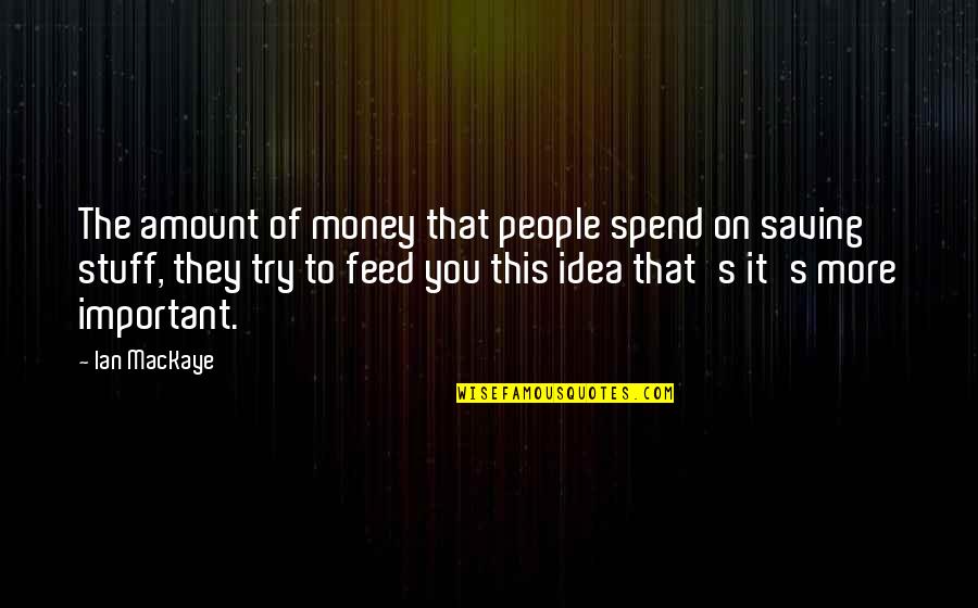 Perses Hopper Quotes By Ian MacKaye: The amount of money that people spend on