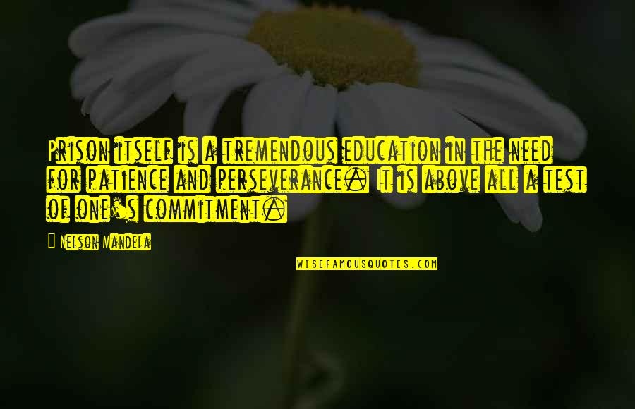 Perseverance And Patience Quotes By Nelson Mandela: Prison itself is a tremendous education in the Perseverance And Patience Quotes By Nelson Mandela: Prison itself is a tremendous education in the