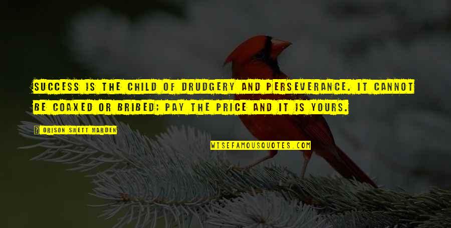 Perseverance And Success Quotes By Orison Swett Marden: Success is the child of drudgery and perseverance.