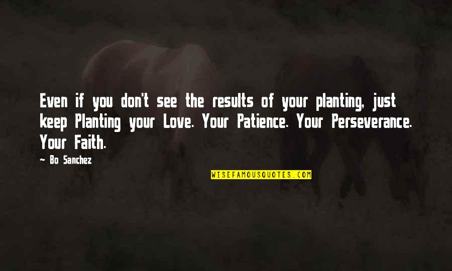 Perseverance In Love Quotes By Bo Sanchez: Even if you don't see the results of