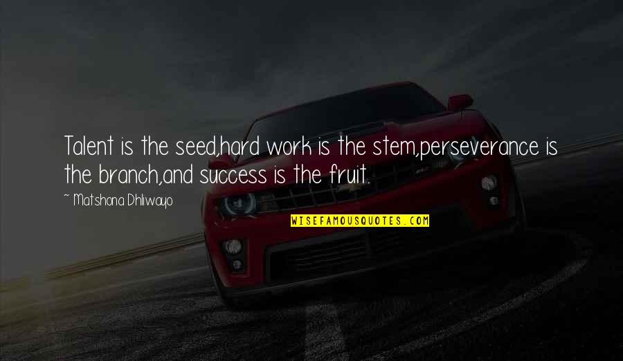 Perseverance In Work Quotes By Matshona Dhliwayo: Talent is the seed,hard work is the stem,perseverance