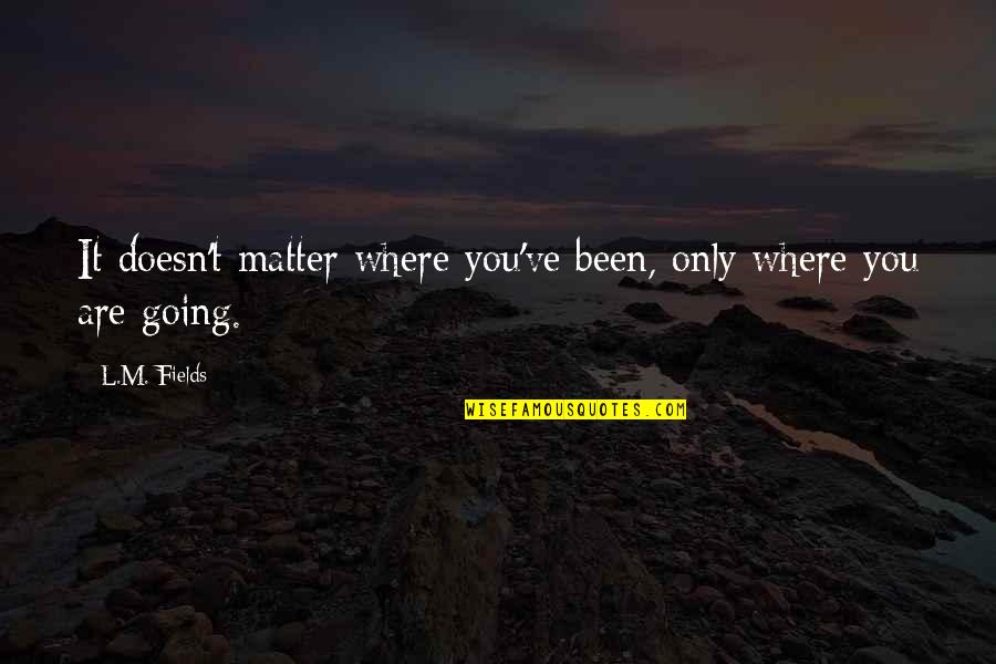 Perseverance To The End Quotes By L.M. Fields: It doesn't matter where you've been, only where