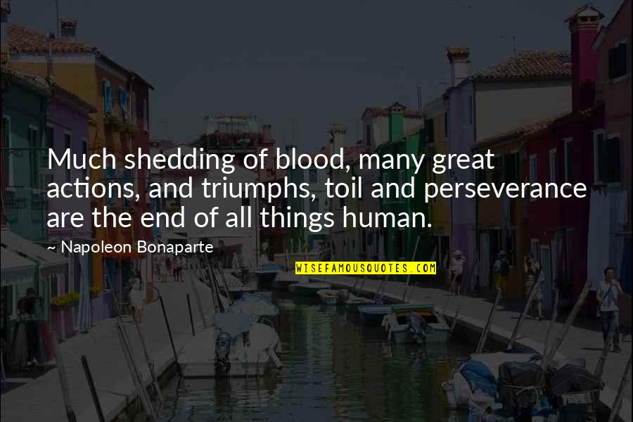 Perseverance To The End Quotes By Napoleon Bonaparte: Much shedding of blood, many great actions, and