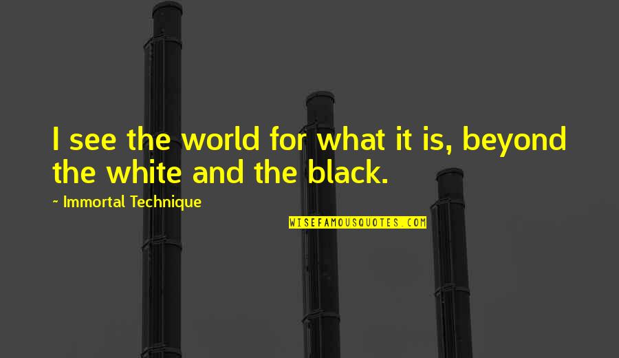 Persib Quotes By Immortal Technique: I see the world for what it is,