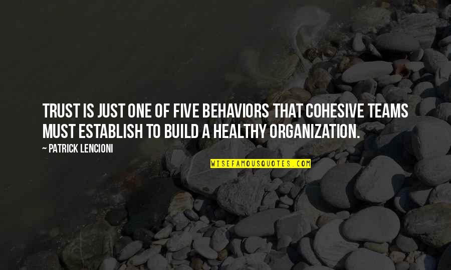 Persida Zmed Quotes By Patrick Lencioni: Trust is just one of five behaviors that Persida Zmed Quotes By Patrick Lencioni: Trust is just one of five behaviors that
