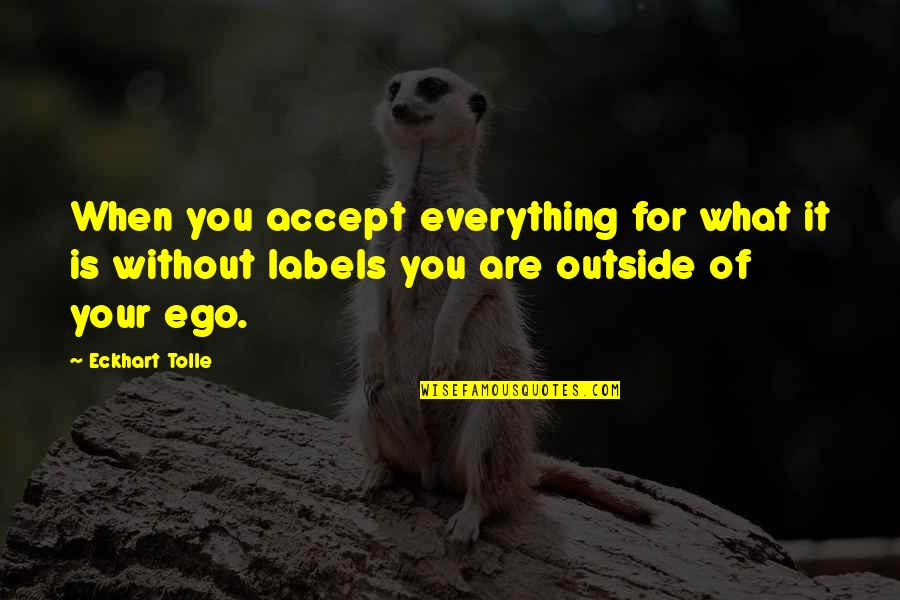 Persigue Metas Quotes By Eckhart Tolle: When you accept everything for what it is Persigue Metas Quotes By Eckhart Tolle: When you accept everything for what it is