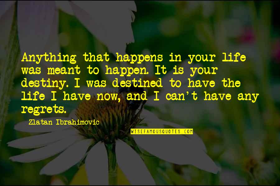 Persis Quotes By Zlatan Ibrahimovic: Anything that happens in your life was meant Persis Quotes By Zlatan Ibrahimovic: Anything that happens in your life was meant