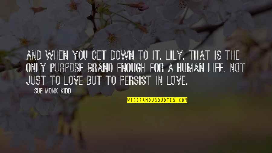 Persist Quotes By Sue Monk Kidd: And when you get down to it, Lily,