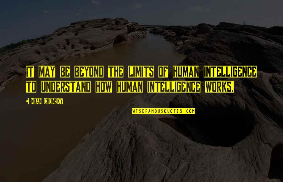 Persistencia Del Quotes By Noam Chomsky: It may be beyond the limits of human Persistencia Del Quotes By Noam Chomsky: It may be beyond the limits of human