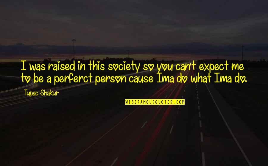 Person And Society Quotes By Tupac Shakur: I was raised in this society so you