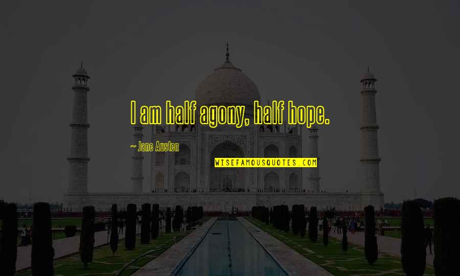 Person Centred Planning Quotes By Jane Austen: I am half agony, half hope. Person Centred Planning Quotes By Jane Austen: I am half agony, half hope.