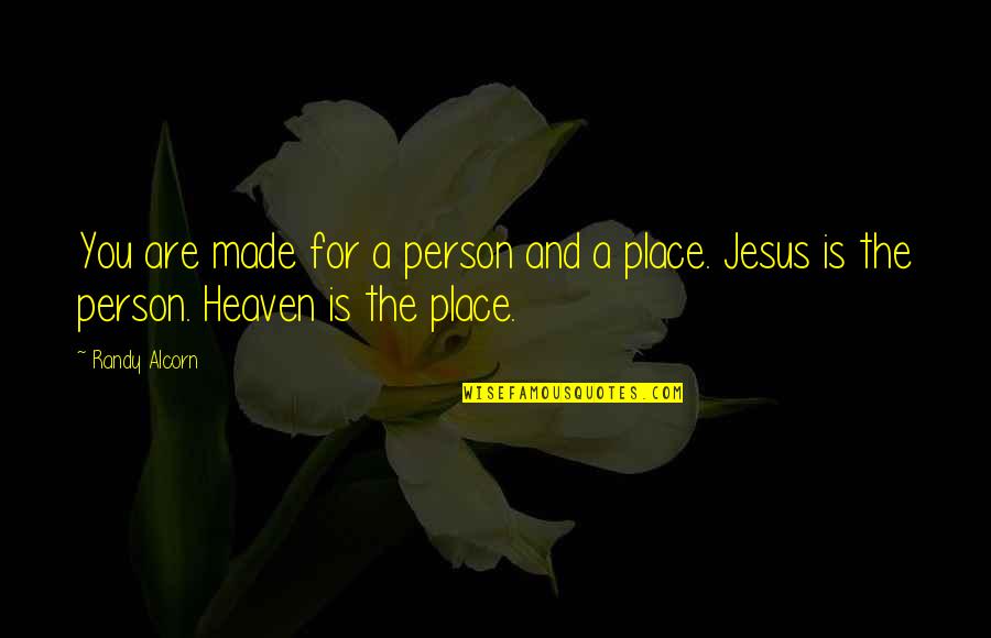 Person In Heaven Quotes By Randy Alcorn: You are made for a person and a