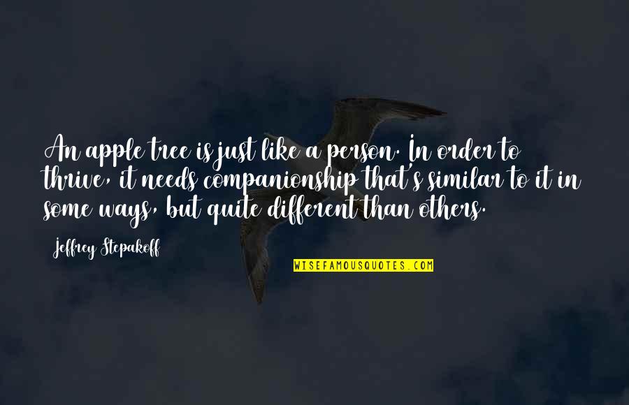 Person Needs Quotes By Jeffrey Stepakoff: An apple tree is just like a person.