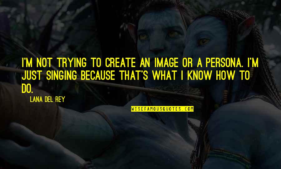 Persona Quotes By Lana Del Rey: I'm not trying to create an image or