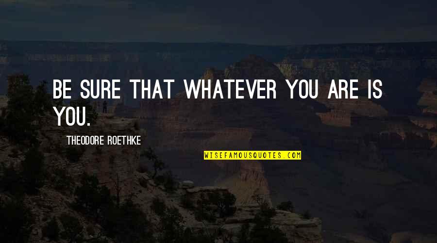 Persona Quotes By Theodore Roethke: Be sure that whatever you are is you. Persona Quotes By Theodore Roethke: Be sure that whatever you are is you.