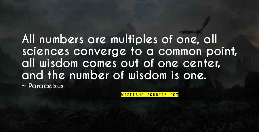Personagem Modelada Quotes By Paracelsus: All numbers are multiples of one, all sciences Personagem Modelada Quotes By Paracelsus: All numbers are multiples of one, all sciences