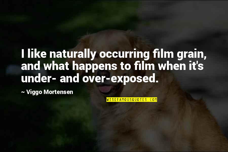 Personajes De Toy Quotes By Viggo Mortensen: I like naturally occurring film grain, and what