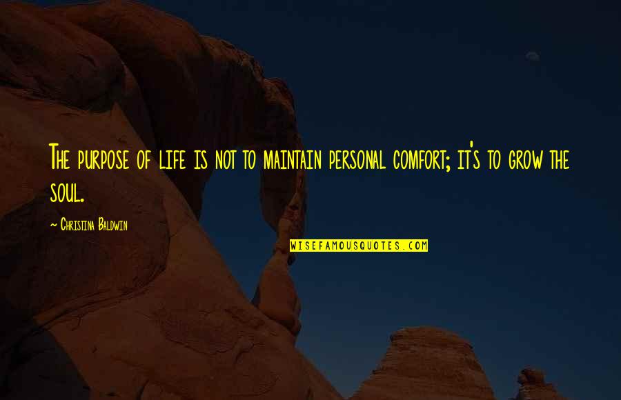 Personal Comfort Quotes By Christina Baldwin: The purpose of life is not to maintain