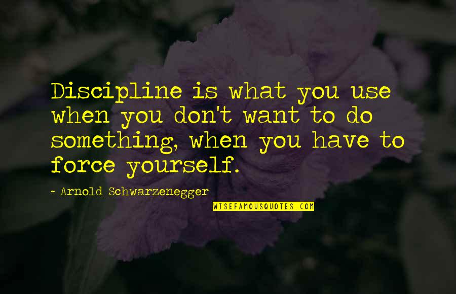 Personal Fulfilment Quotes By Arnold Schwarzenegger: Discipline is what you use when you don't