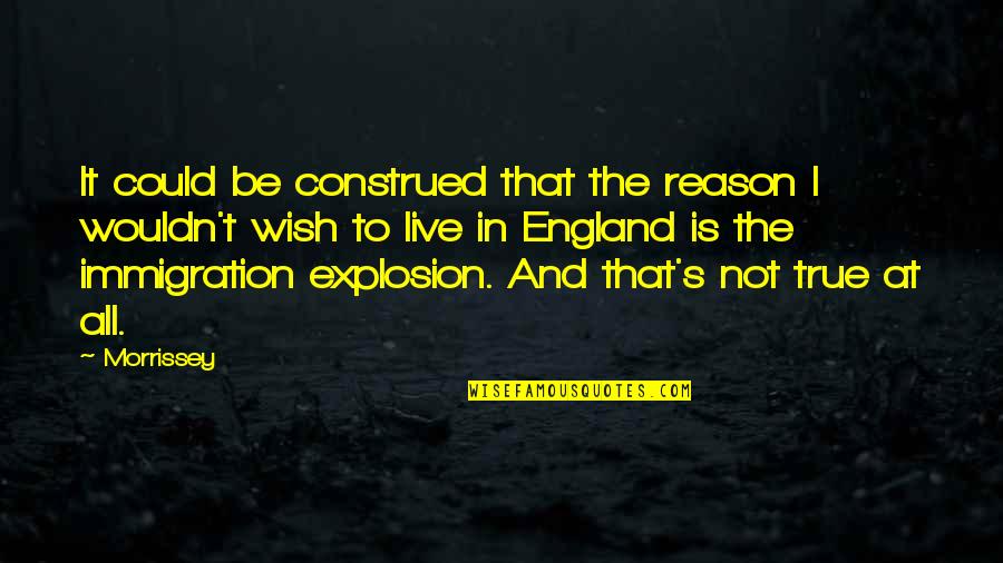 Personal Growth Motivation Quotes By Morrissey: It could be construed that the reason I Personal Growth Motivation Quotes By Morrissey: It could be construed that the reason I