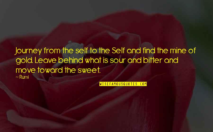 Personal Life Problem Quotes By Rumi: Journey from the self to the Self and Personal Life Problem Quotes By Rumi: Journey from the self to the Self and