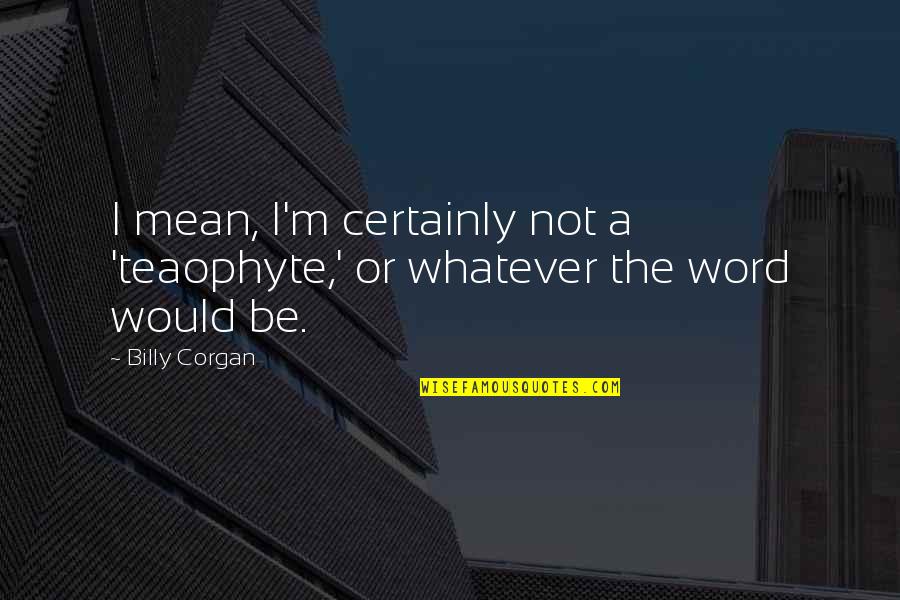 Personal Limitations Quotes By Billy Corgan: I mean, I'm certainly not a 'teaophyte,' or