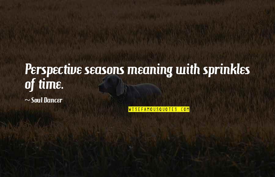 Personal Perspective Quotes By Soul Dancer: Perspective seasons meaning with sprinkles of time.