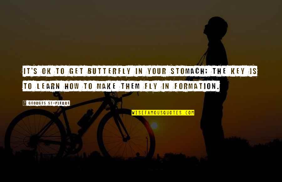 Personal Renewal Quotes By Georges St-Pierre: It's OK to get butterfly in your stomach;