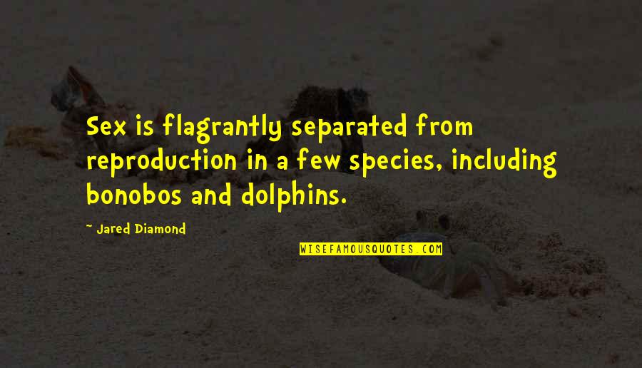 Personal Training Funny Quotes By Jared Diamond: Sex is flagrantly separated from reproduction in a