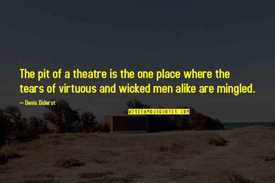 Personalised Canvas Quotes By Denis Diderot: The pit of a theatre is the one